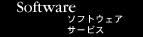 �\�t�g�E�G�A�[�T�[�r�X