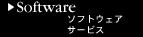 �\�t�g�E�G�A�[�T�[�r�X